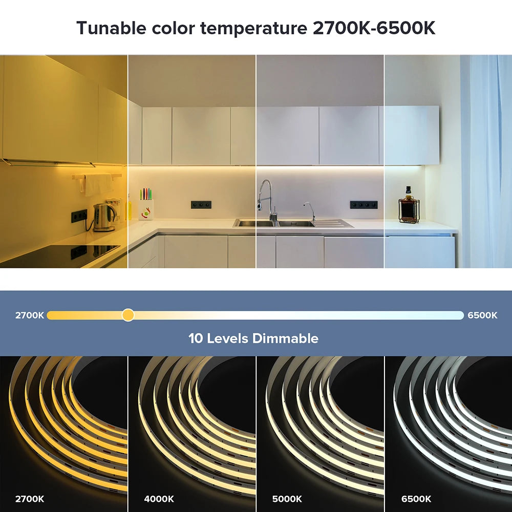 FCOB CCT LED Strip Kit